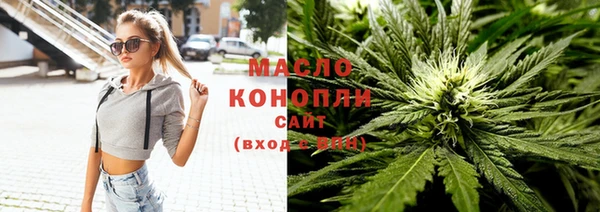 хмурый Пересвет