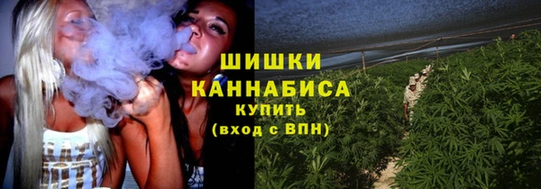 спиды Покачи