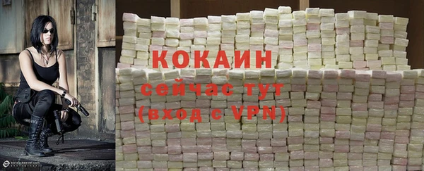 спиды Покачи