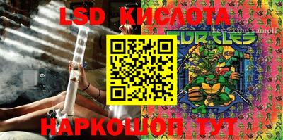 шишки Бийск