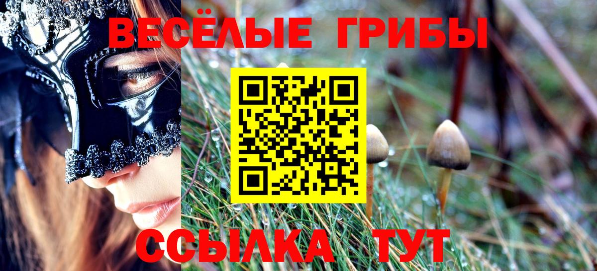 Галлюциногенные грибы мицелий  Галлюциногенные грибы Magic Shrooms  Светлоград 